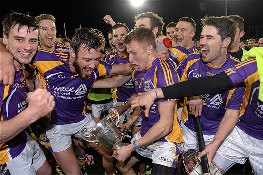 CROKES HURLING FINAL WIN.jpg