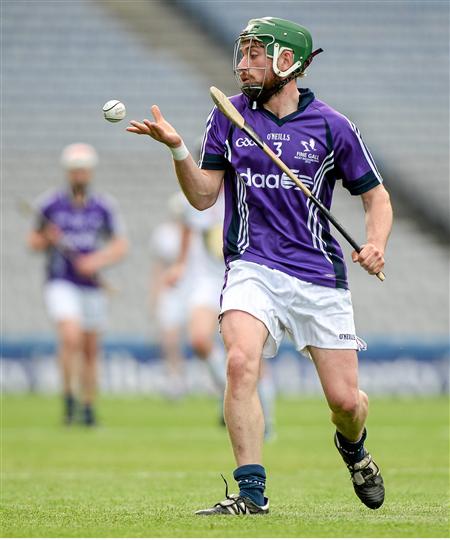 niall ring fingal hurl.jpg