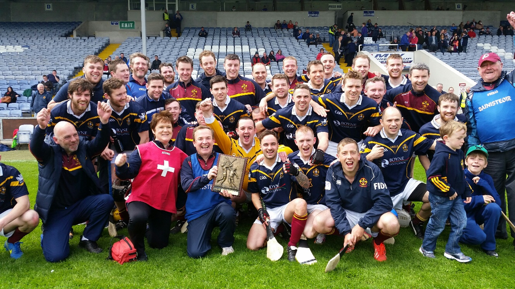 plunketts leinster hurl.png