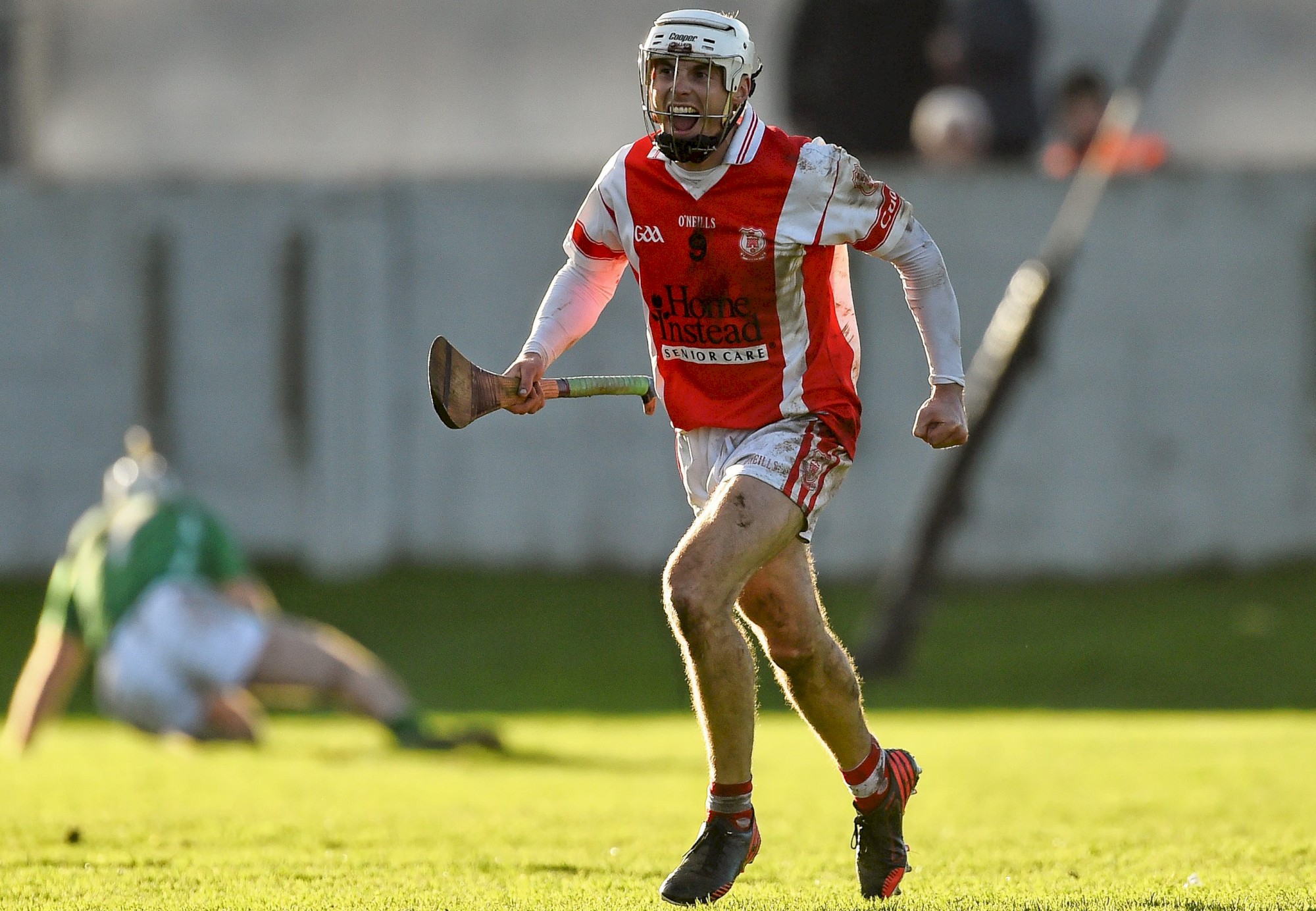 darragh o connell.jpg