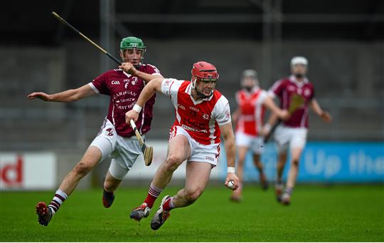 david treacy cuala v clara.jpg