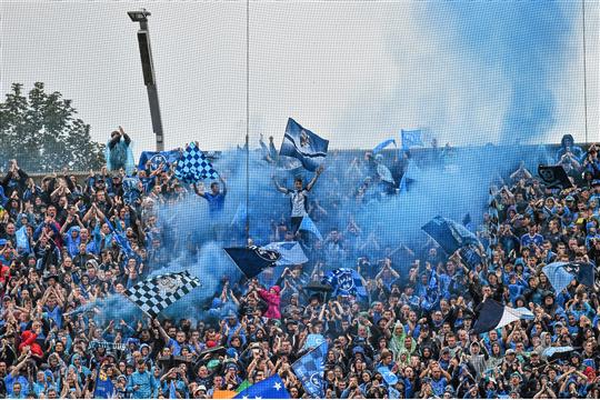 hill 16 dublin fans.jpg