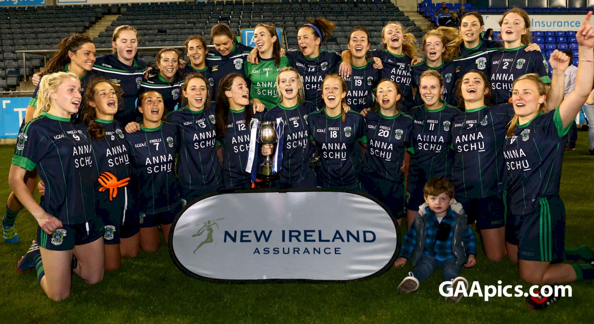 foxcabs celebrate 2016 dub final 1.jpg