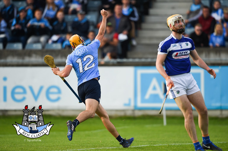 eamonn dillon v laois 17 shc .jpg