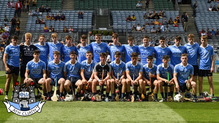dublin mh leinster final 17 panel .jpg
