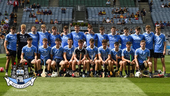 dublin mh panel 2 leinster mhc final 17.jpg