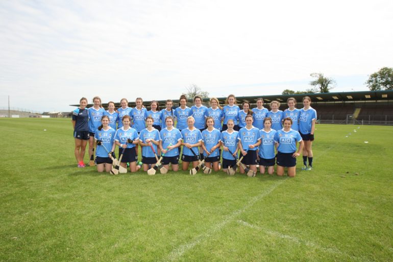 dublin camogie panel 2017.jpg