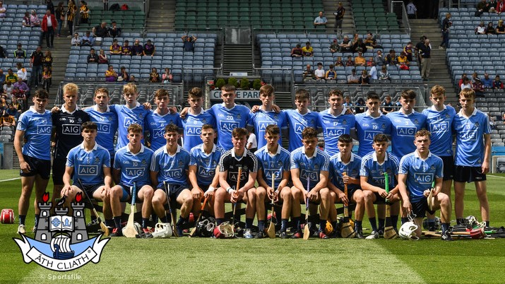 dublin mh panel 2017 v kilkenny .jpg