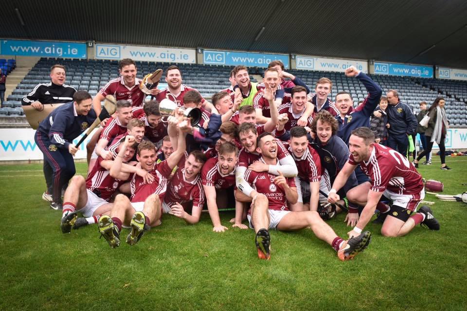 raheny shc b final winners 2017.jpg