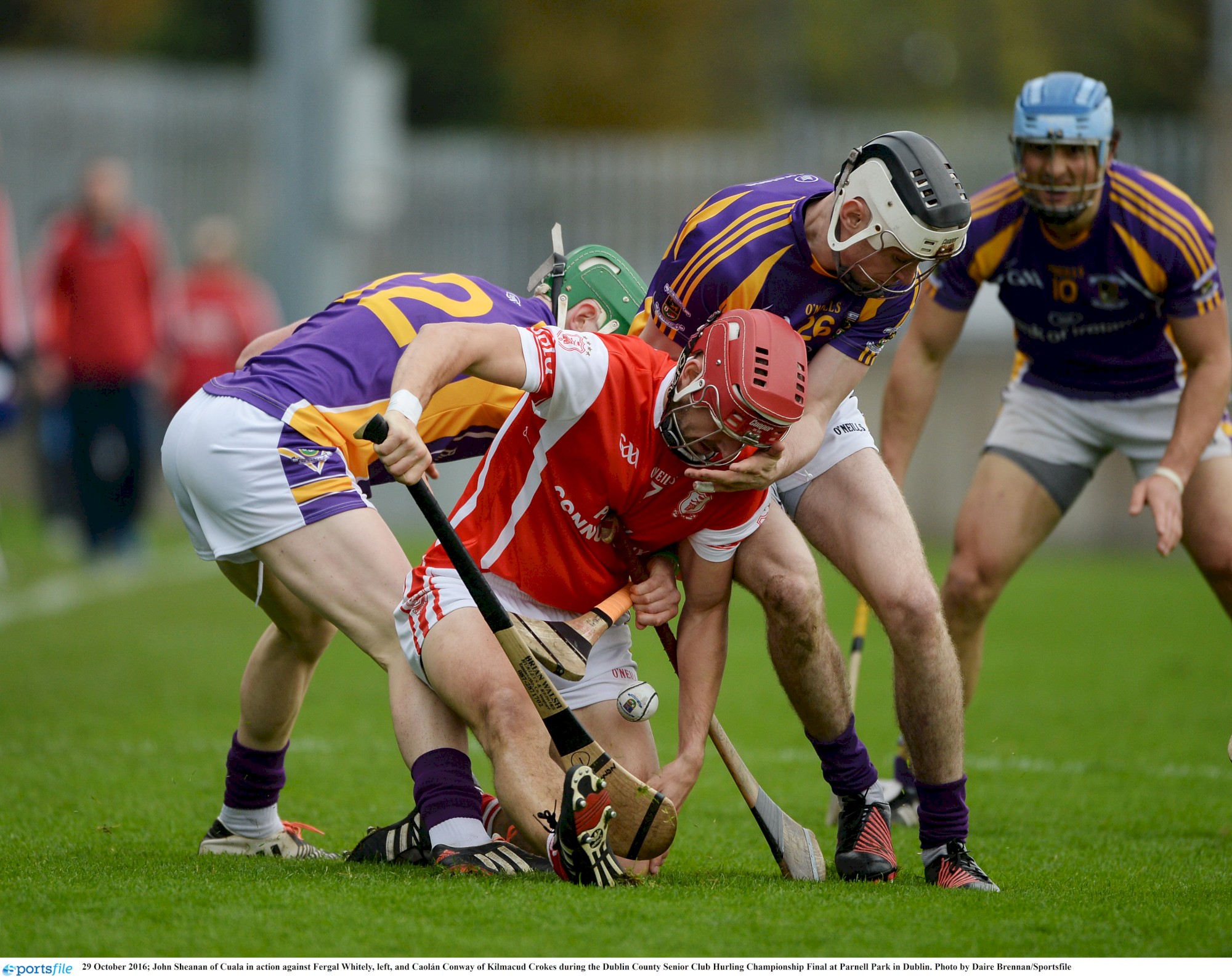 john sheaon v crokes 16 shc.jpg