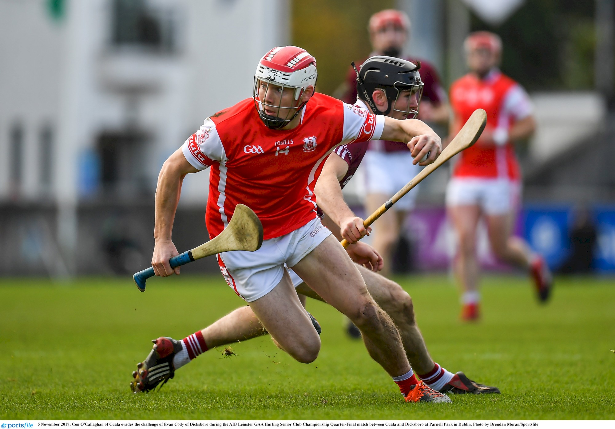 CON OCALLAGHAN V DICKSBORO 17 LEINSTER.jpg