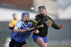 dublin camog action 18 league v clare.jpg