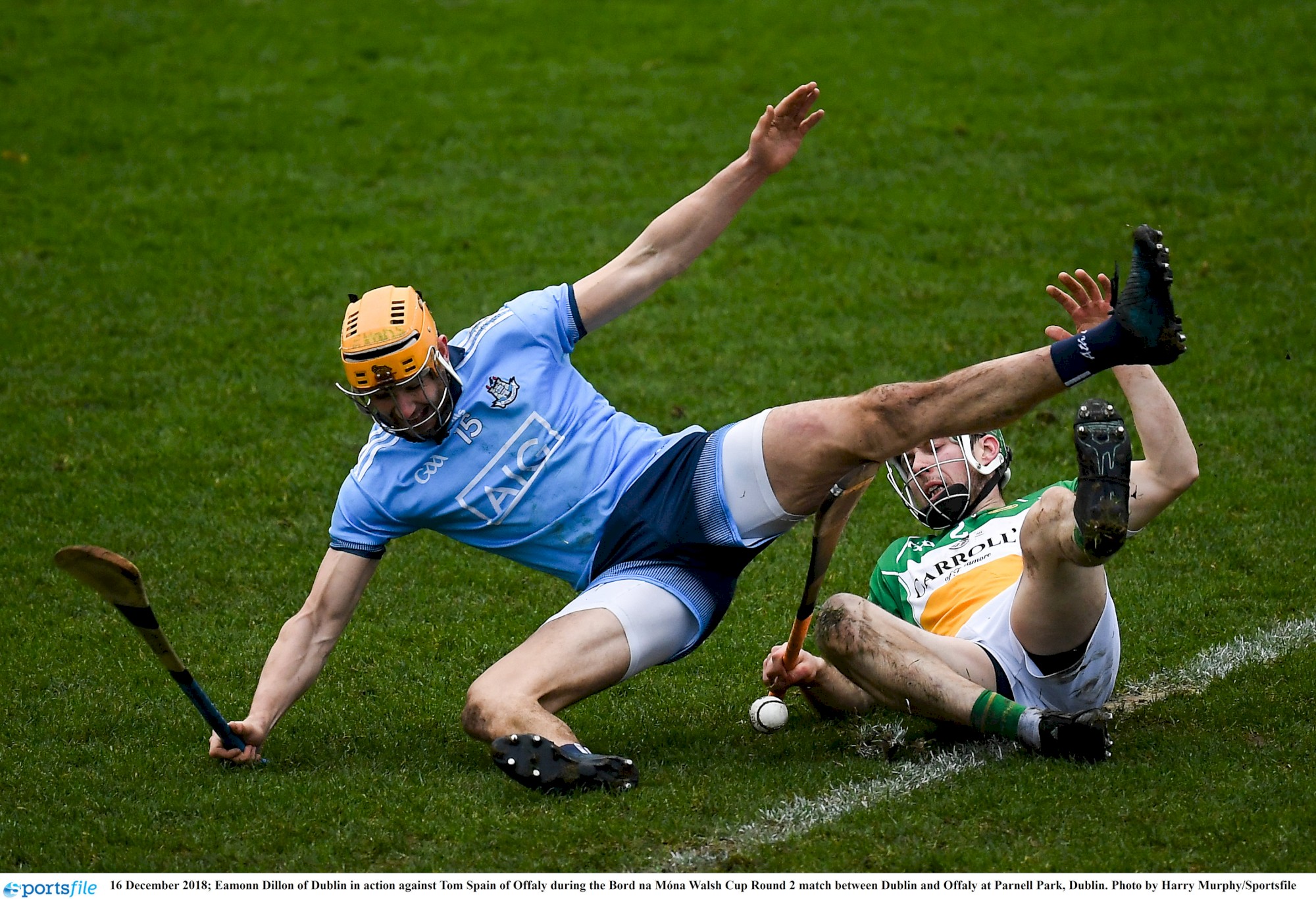 eamonn dillon v offaly walsh cup dec 18.jpg