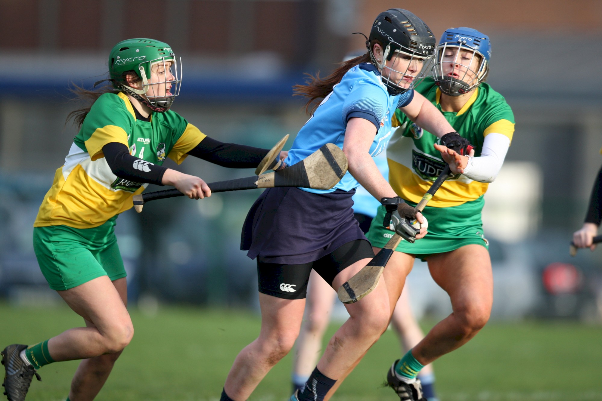 dublin senior camogie v offaly in NL 2019.jpg