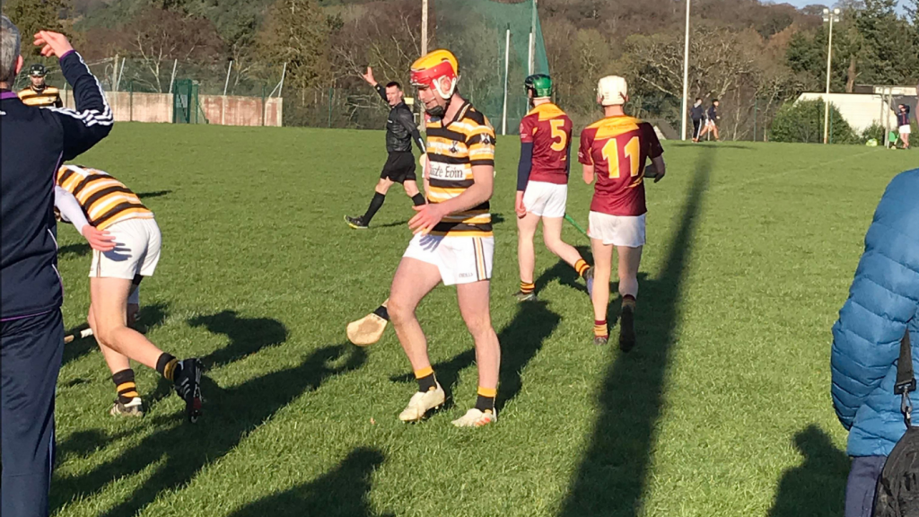 colaiste eoin hurling colls 2019.png