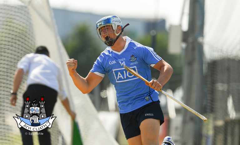 luke swan dublin mh goal celebration on own .jpg