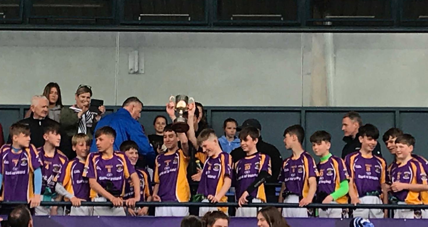 kilmacud crokes feile peil div 1 winners 2019 .jpg