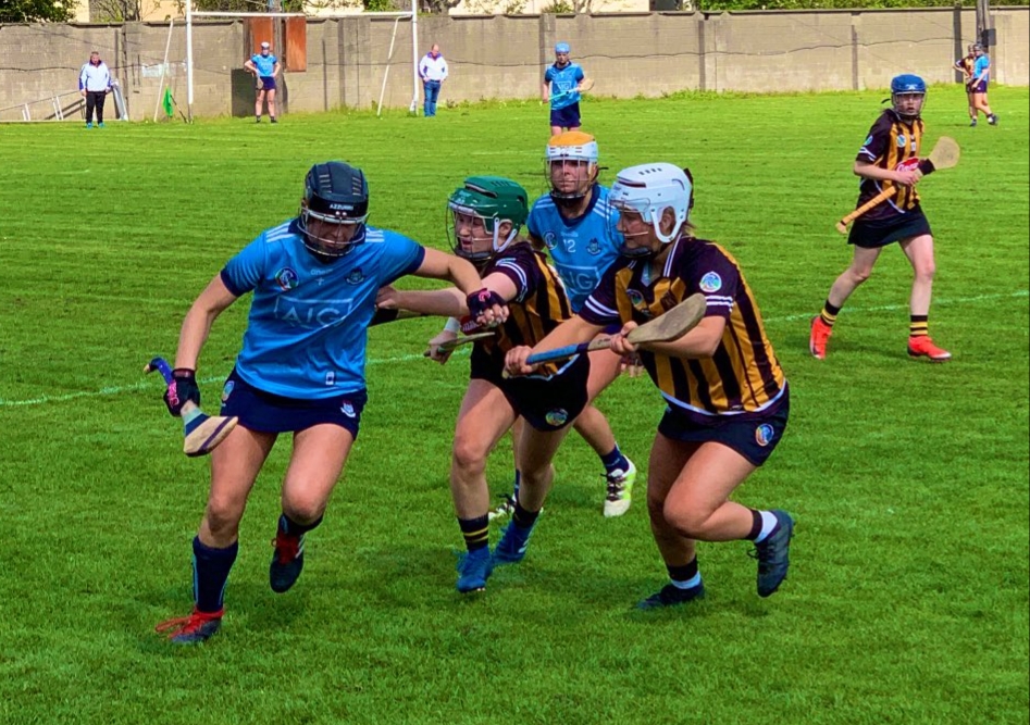 dublin senior camogie v kilkenny 19 otoole park .jpg