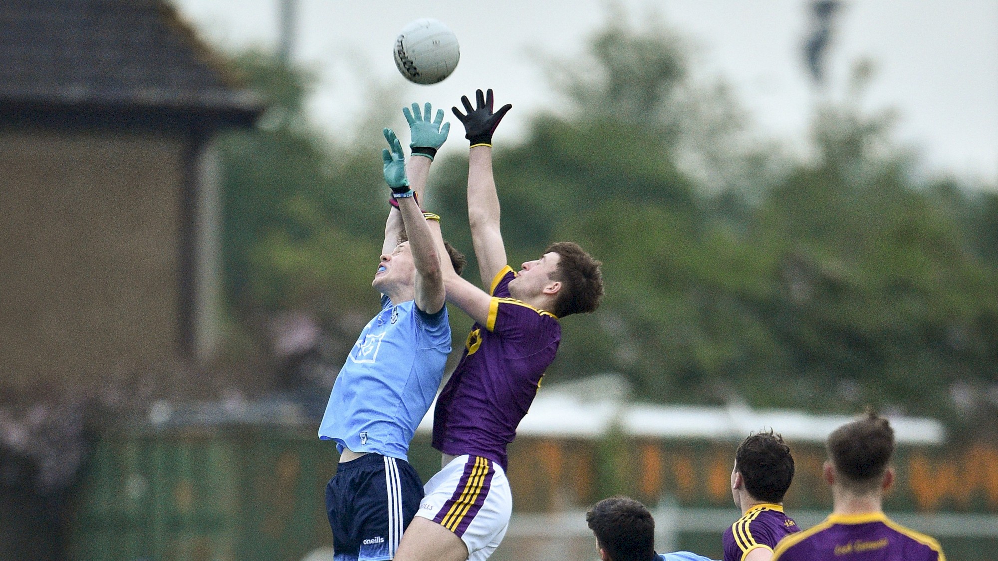 senan forker v wex leinster mfc 19.jpg