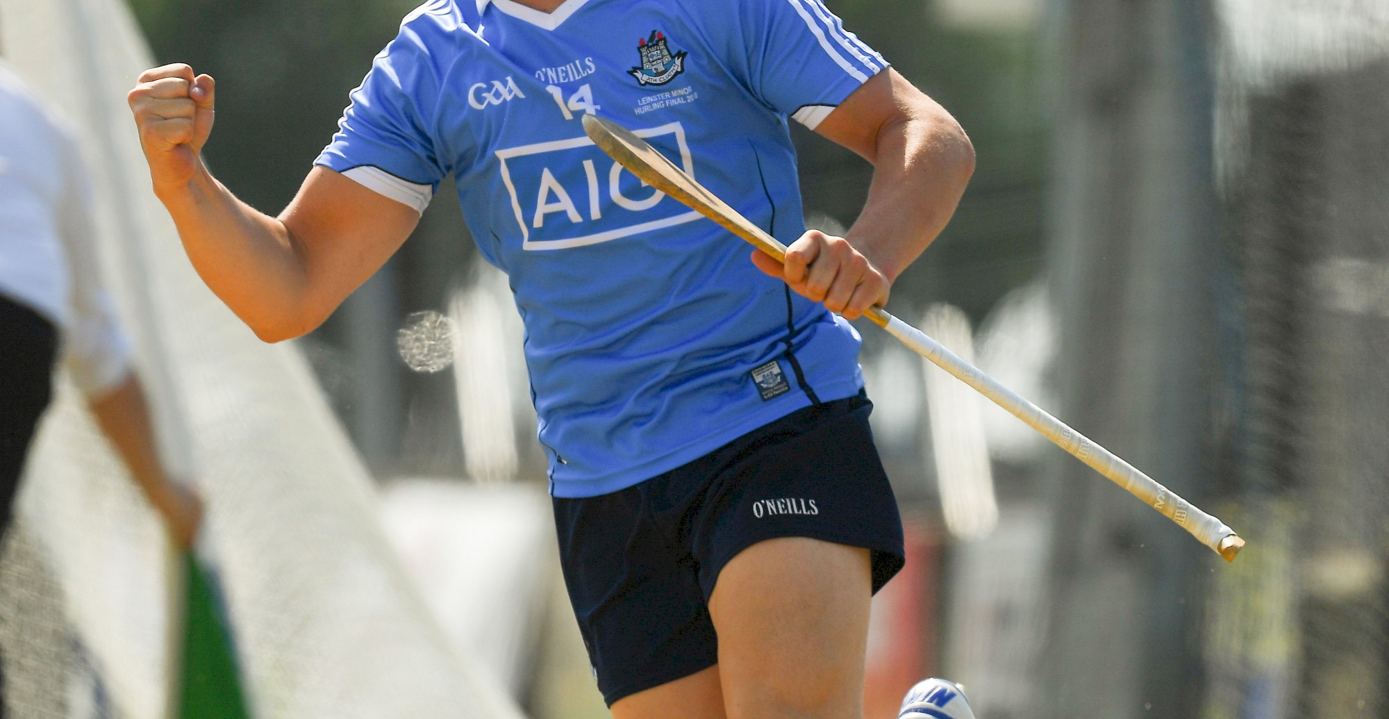 dublin underage hurling stock crop pic .jpg