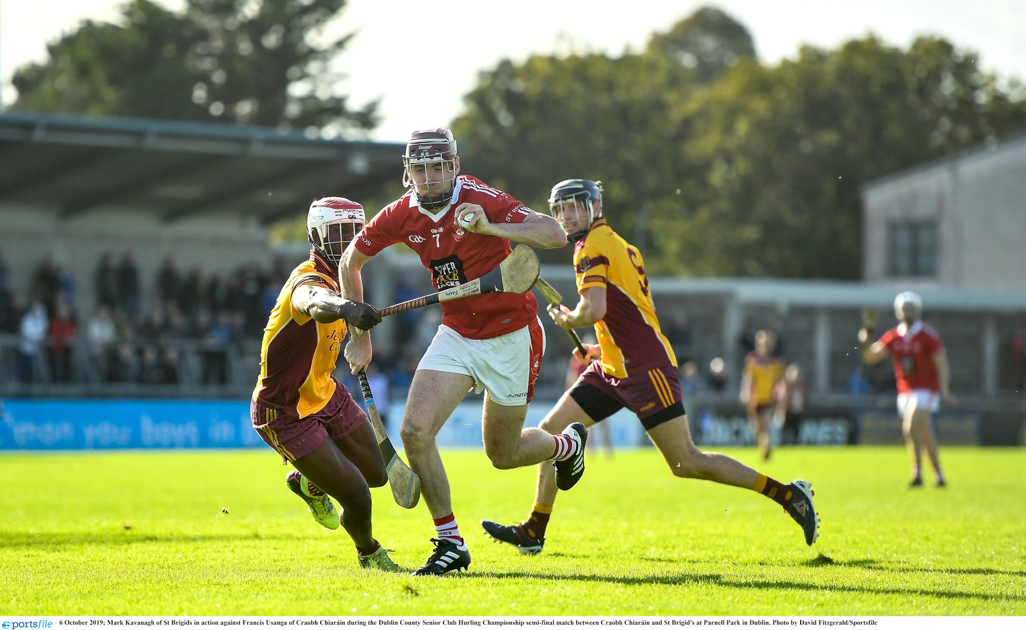 Mark Kavanagh Brigid