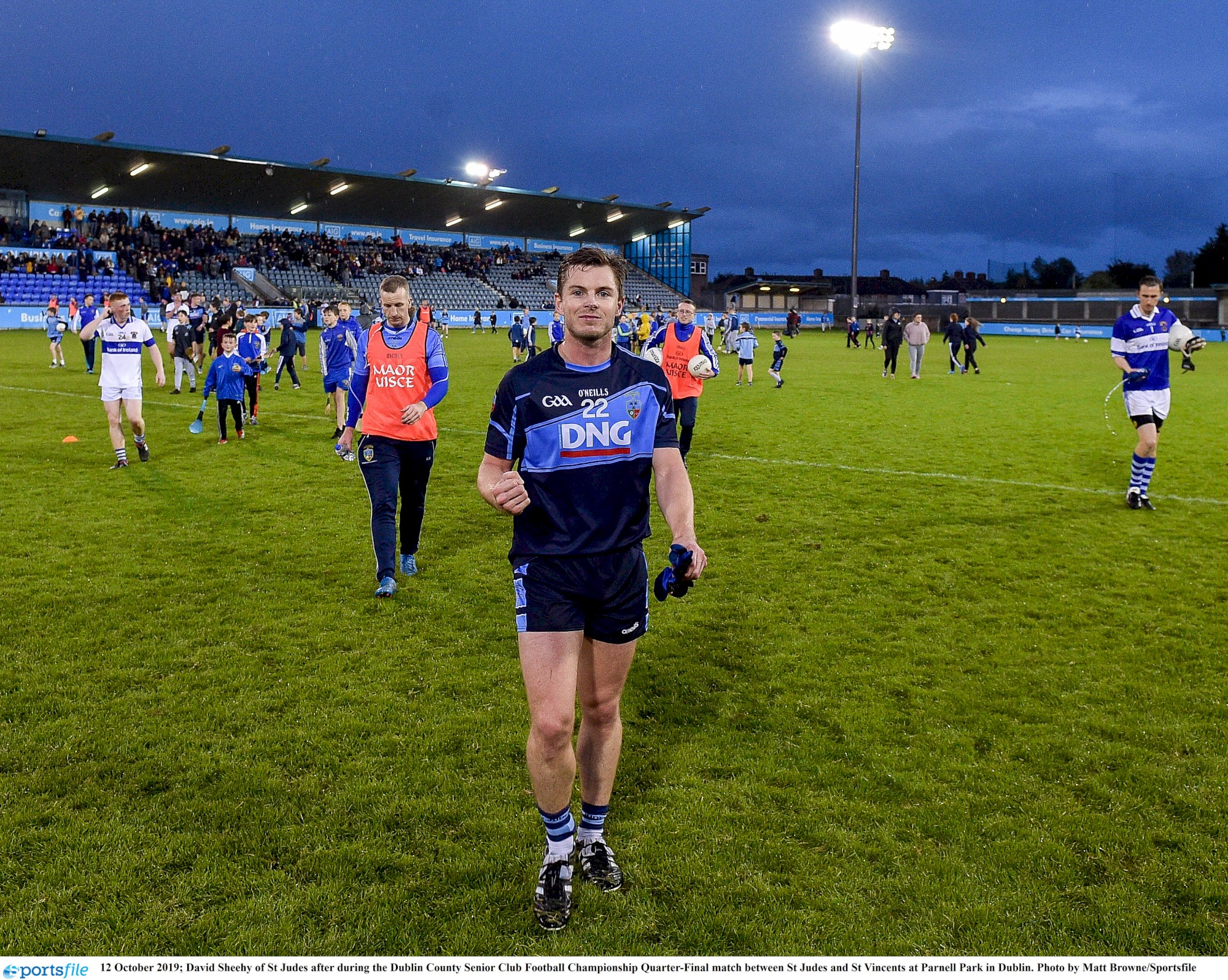 david sheedy st jude