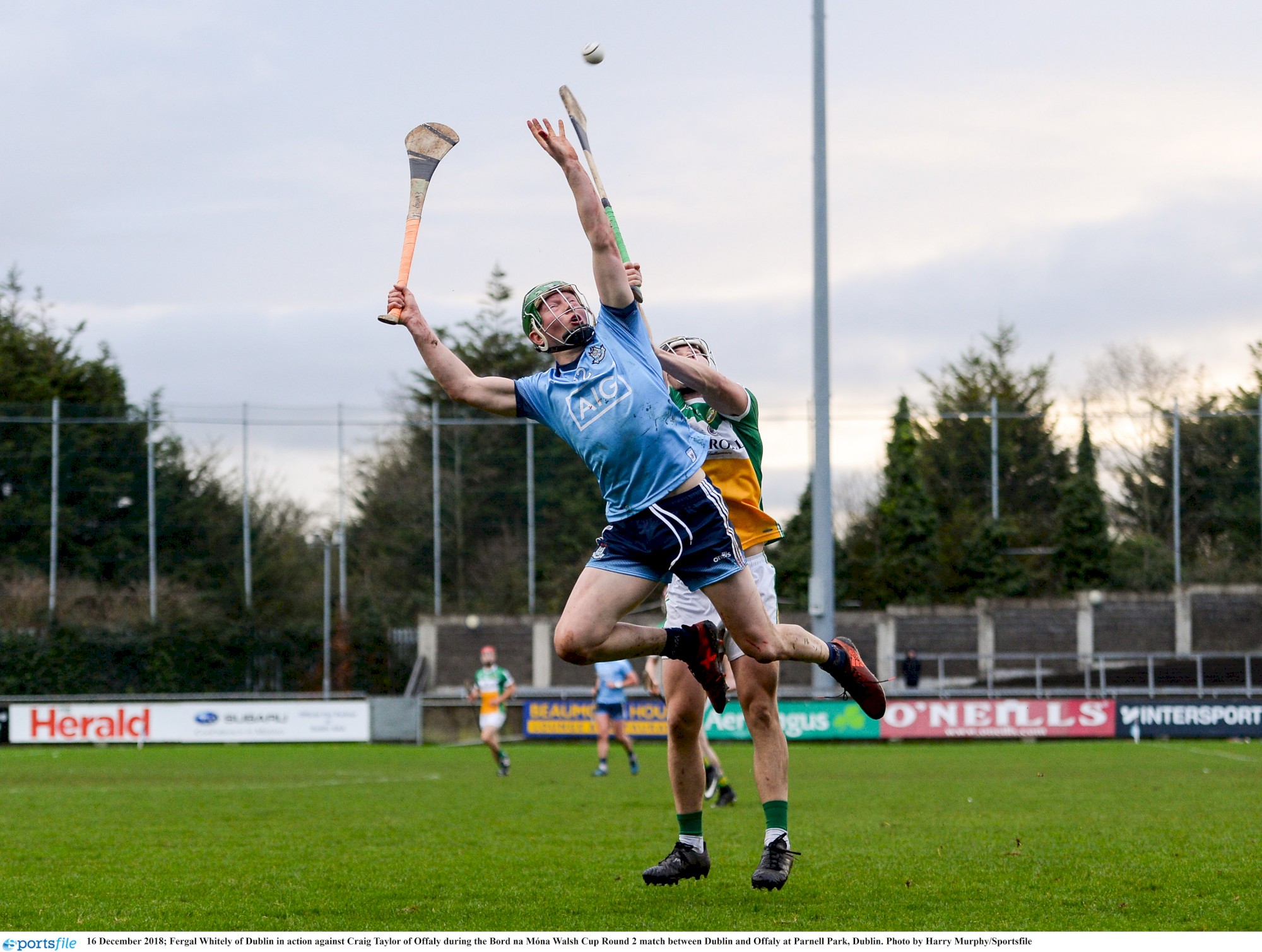 fergal whitely walsh cup v offaly.jpg