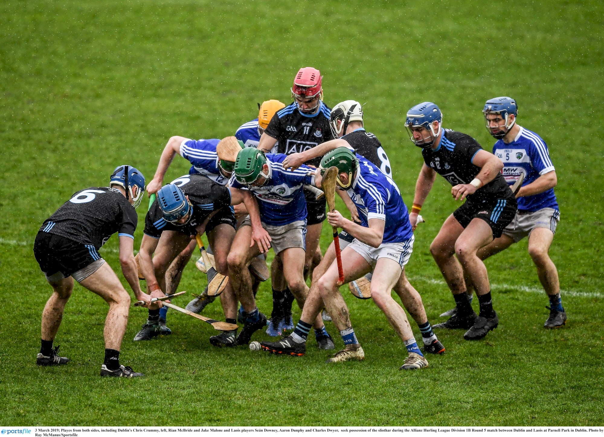 dublin v laois nhl 2019 parnell park .jpg