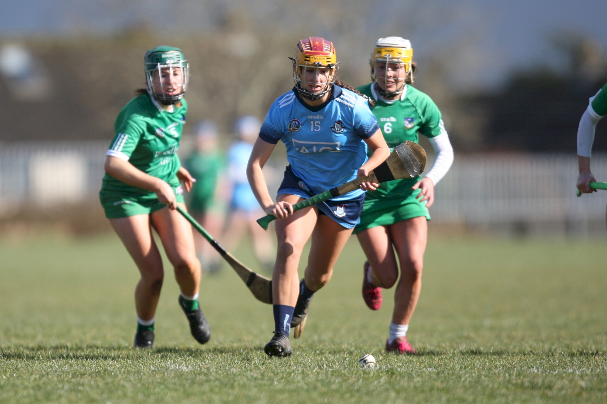dublin camogie v limerick senior league 2020 .jpg