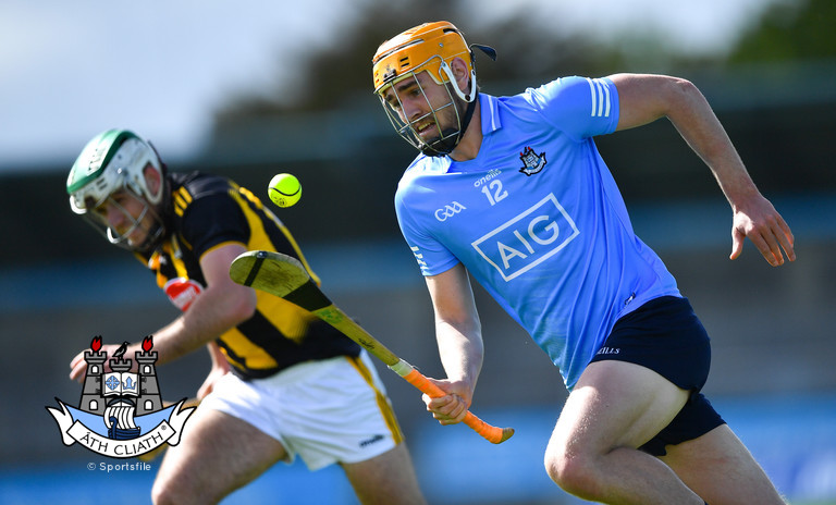 ronan hayes dublin 2021 nhl v kilkenny .jpg