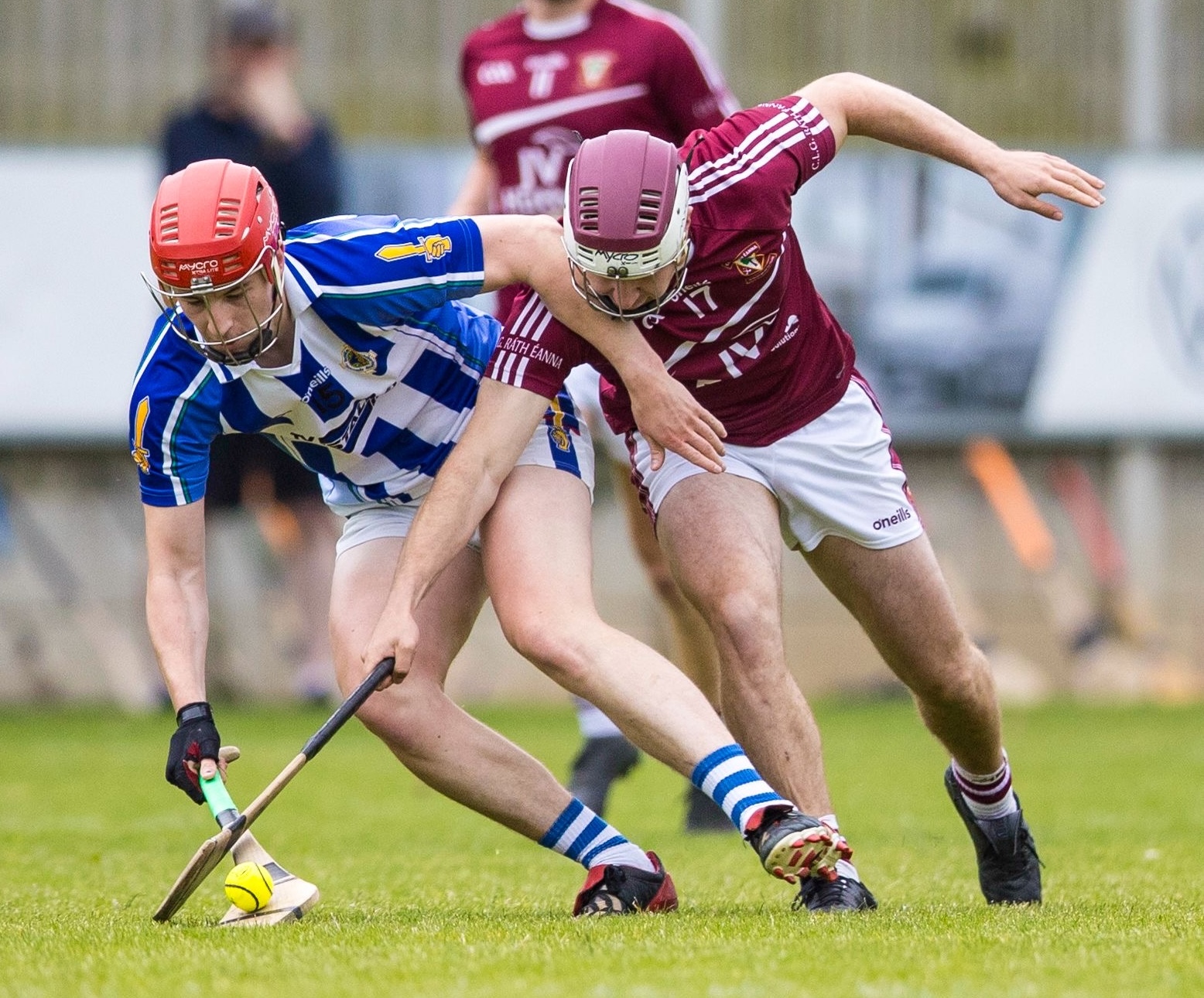 42b8f2f7-7097-4456-9796-18d68a98f452 2.JPG