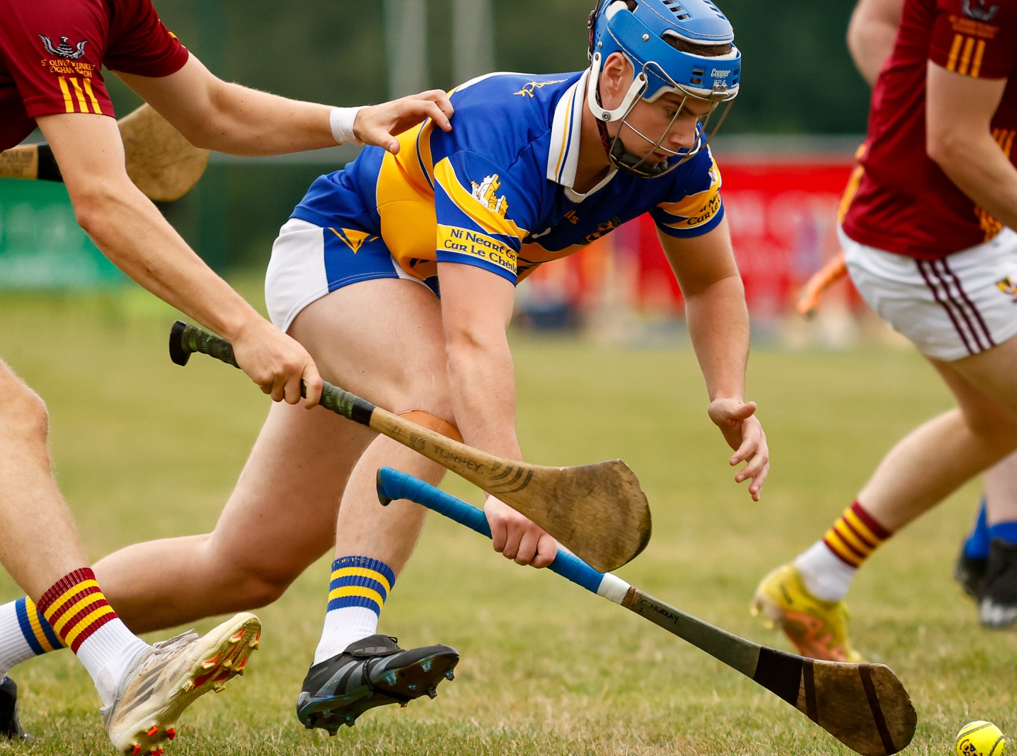 53931267508_084a1d0841_o (1).jpg