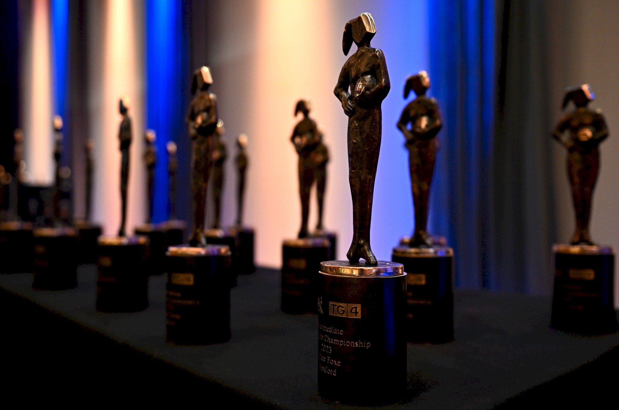 Teams of the Championship.jpg